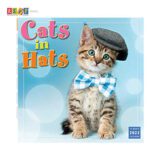 RSVP Sellers Publishing Cat in hats Kitten Calendar