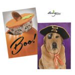 Design Design Halloween Greeting Cards