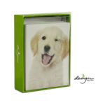 Design Design Golden Retriever Puppy Wink Notecards