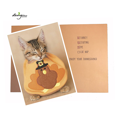 Design Design Kitten Thanksgiving Greeting Cards