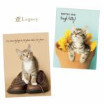 Legacy Publishing Kitten Birthday  Greeting cards