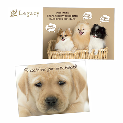 Legacy Birthday Dogs Greeting Cards