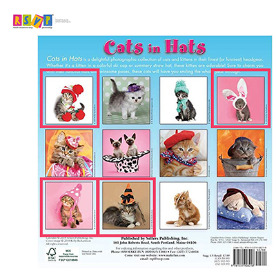 Cats in Hats Calendar Sellers Publishing