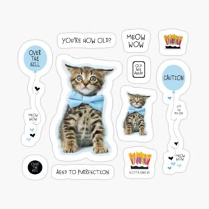 Example of Graphic Design elements added to Photograph of kitten